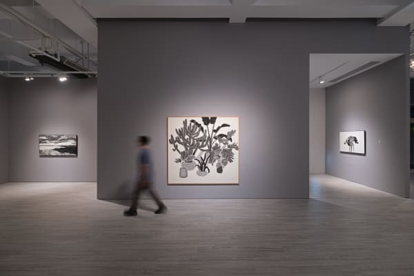 006 20240808184533 Mini Srgb