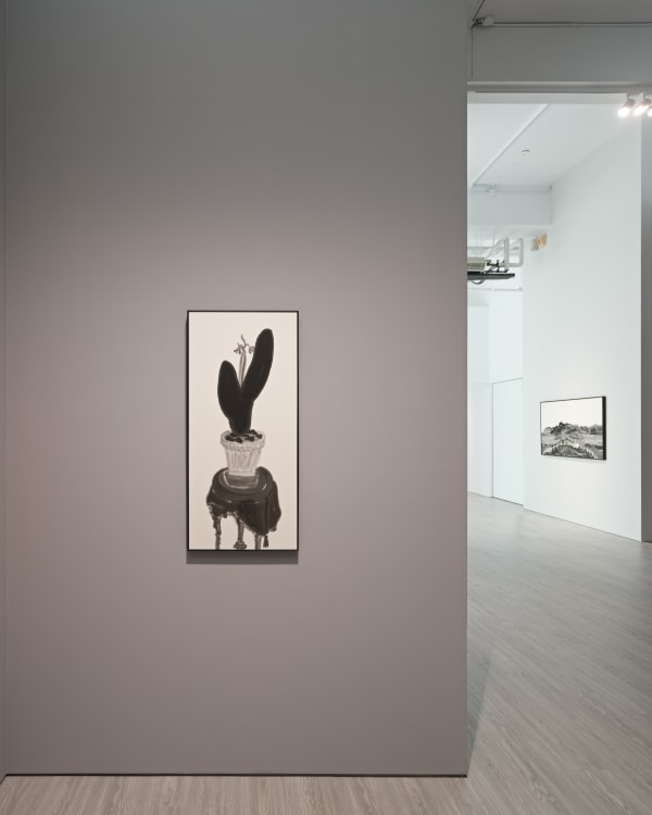 009 20240808164842 Mini Srgb