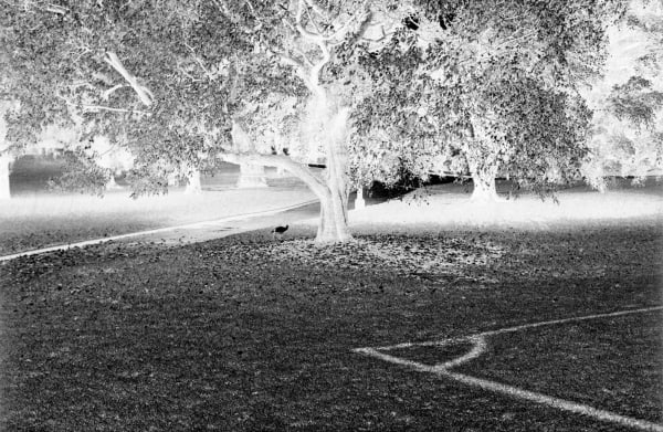 安利.沙拉,《無題》Untitled, 2007