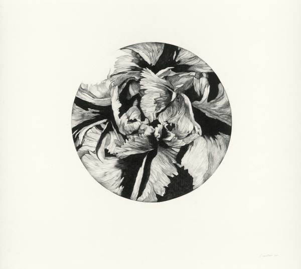 派翠西亞．伊斯塔柯,《巴別輪廓 輪廓1 研究1》Figure Babel, Fig. I / Study 1,2014