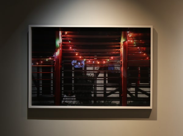 Michelle Dizon and Camilo Ontiveros,《窗簾》Curtains, 2010