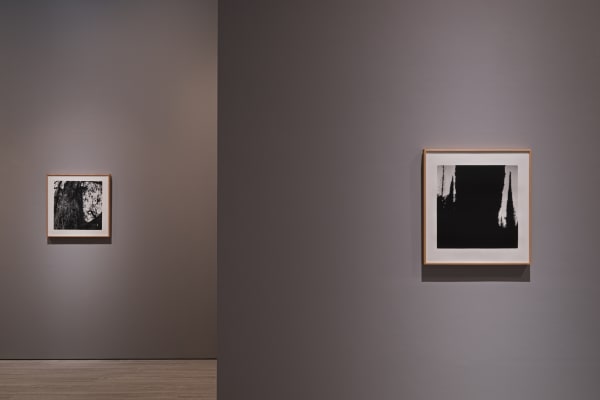 230706182628 Mini Srgb