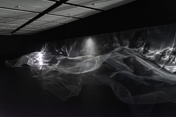 「存在の細語」 大卷伸嗣個展