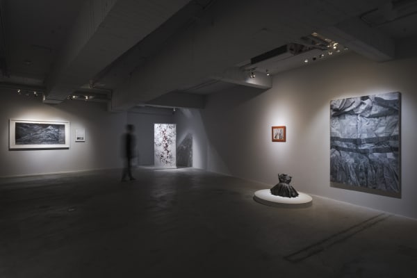 「雅努斯」 香港巴塞爾項目展