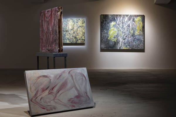 Appearances under Erasure by Juin Shieh