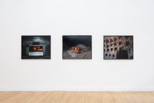 Cookelatham Greta 7003