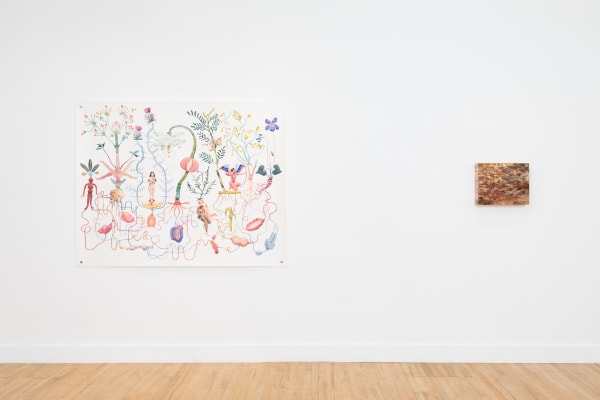 Rerooted Bjdeakinphotography 8234