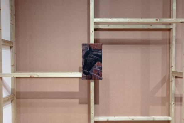 Norbertospina Ref 7538