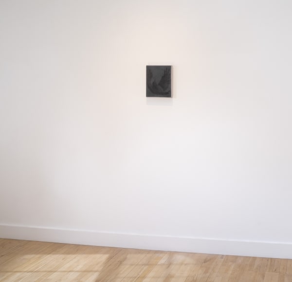 Johnny Izatt-Lowry, By day, but then again by night, 2020 Installation view