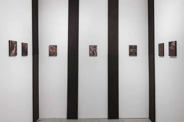 Installation view 'Arcadia' 2024 by Norberto Spina