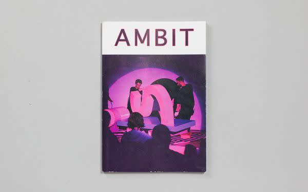 An interview between Rose Davey and curatorial collaborator Sarah Kate Wilson in Ambit Magazine