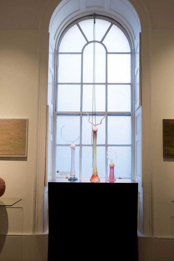 Juno Snowdon Photography Cavaliero Finn Collect 2022 Large 7680