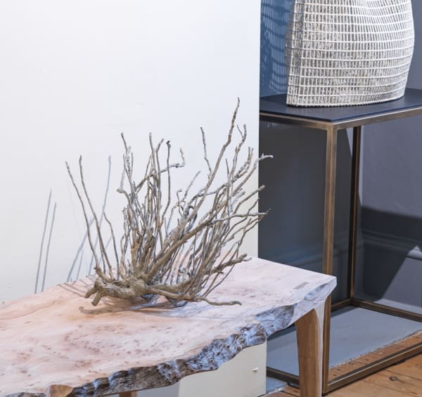 230302 Collect23 0017