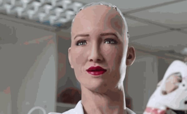 Sophia The Robot (Hanson Robotics)