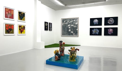 SOW WATER HARVEST EMMA AINALA , TINA MARIA NIELSEN, ANNE SKOLE OVERGAARD, LARS WORM, METTE VANGSGAARD, ASMUND HAVSTEEN-MIKKELSEN