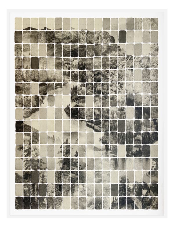 Joost Vandebrug TDXVI, 2023, Mono-type on handmade paper & stainless steel pins, 160 x 120 cm