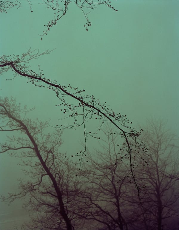 Torben Eskerod Marselis #9746-05 Archival pigment print on Hahnemühle Fine Art paper, 310 gr. Mounted on dibond. Handcrafted stained oak frame with museum glass. 80 x 60 cm Edition 5 + 2AP