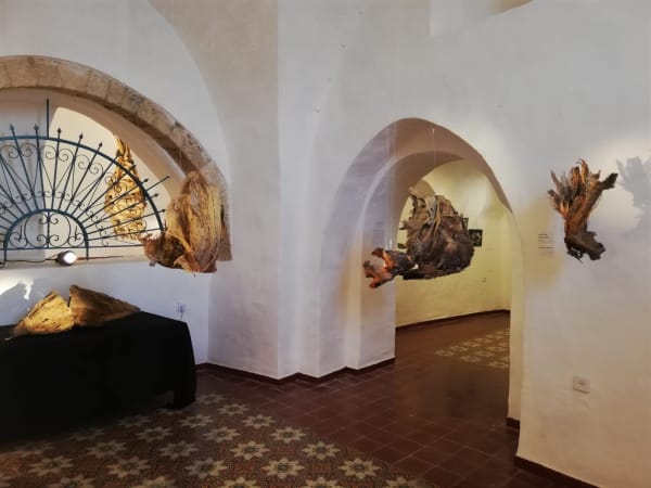 Whatsapp Image 2019 03 13 At 15 43 10