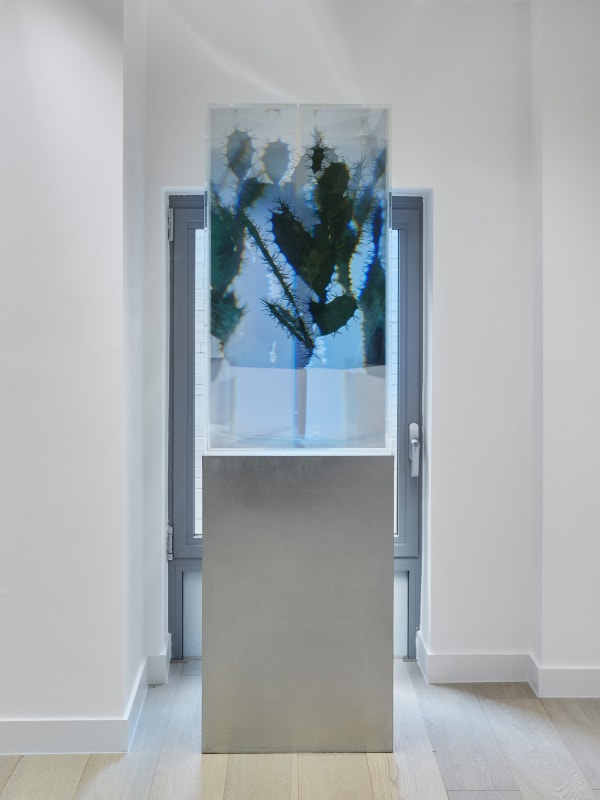 Omer Tiroche Everything Must Go 028