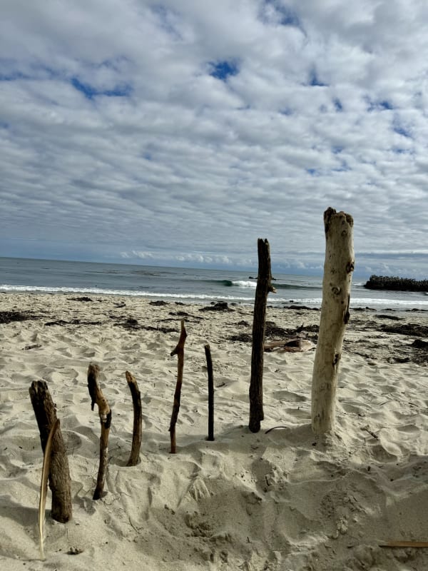 2024: My Year in Review