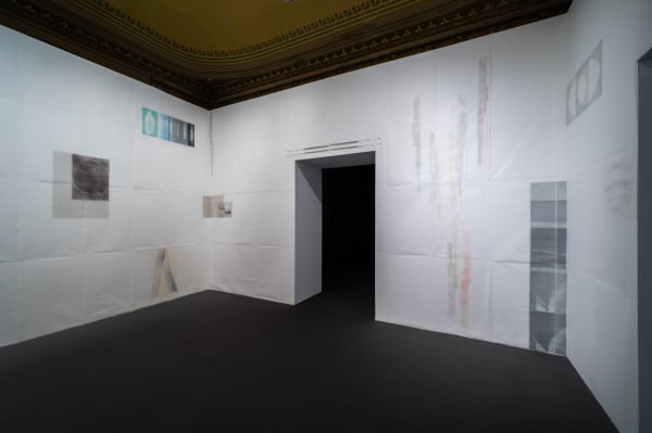 Patricia Dauder, Sections (part 2) , 2021