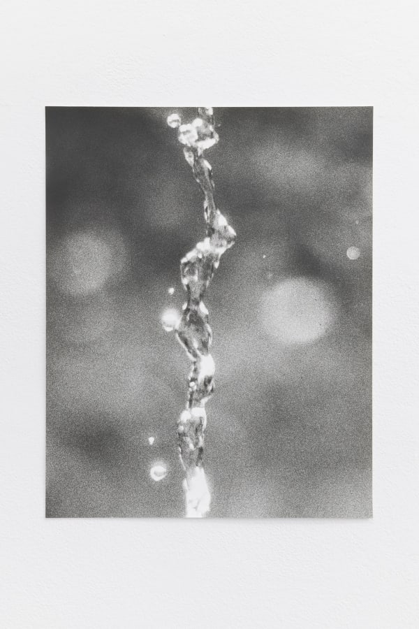 Jochen Lempert, Falling Water, 2022