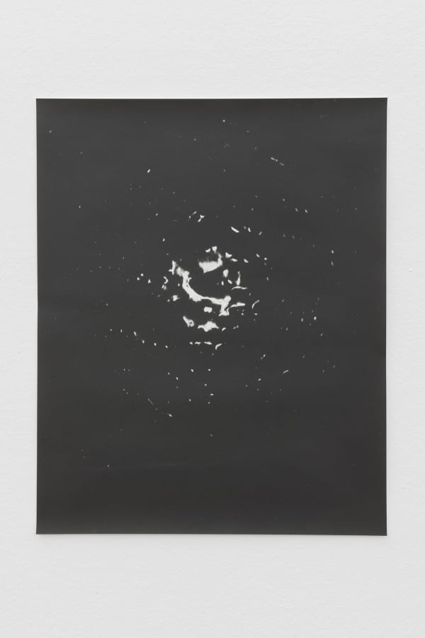 Jochen Lempert, Full Moon, 2021