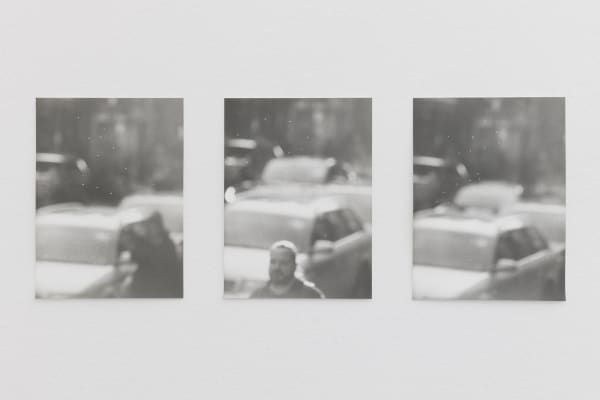 Jochen Lempert, Flying insects, 2021