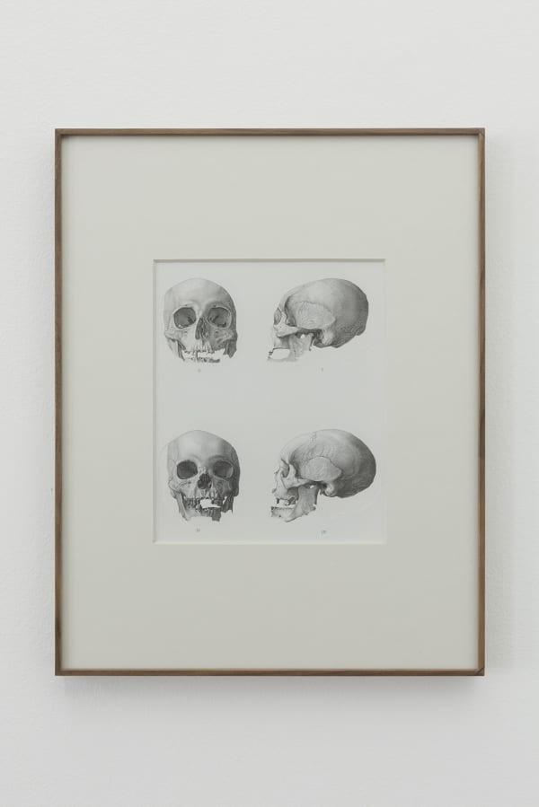 Asier Mendizabal, Geodesia y antropometría (crania ethnica), 2016