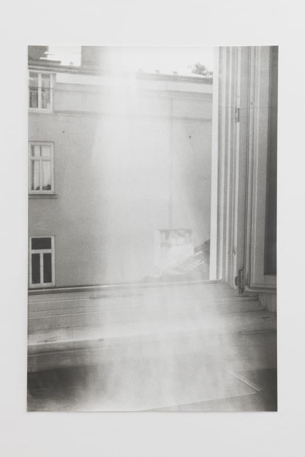 Jochen Lempert, Oktoberlicht, 2021