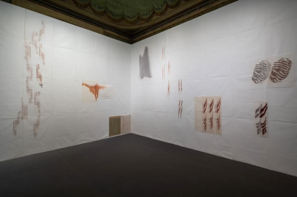 Patricia Dauder, Sections (part 1), 2021