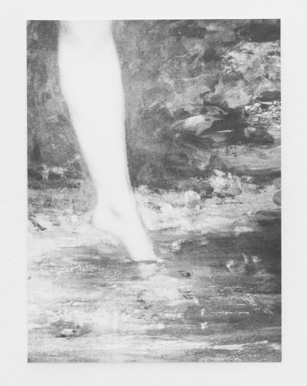 Jochen Lempert, Untitled (Courbet), 2020