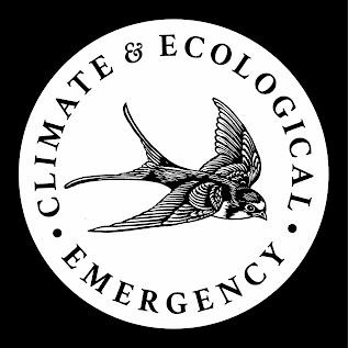 Rosannagh joins Culture Declares Emergency