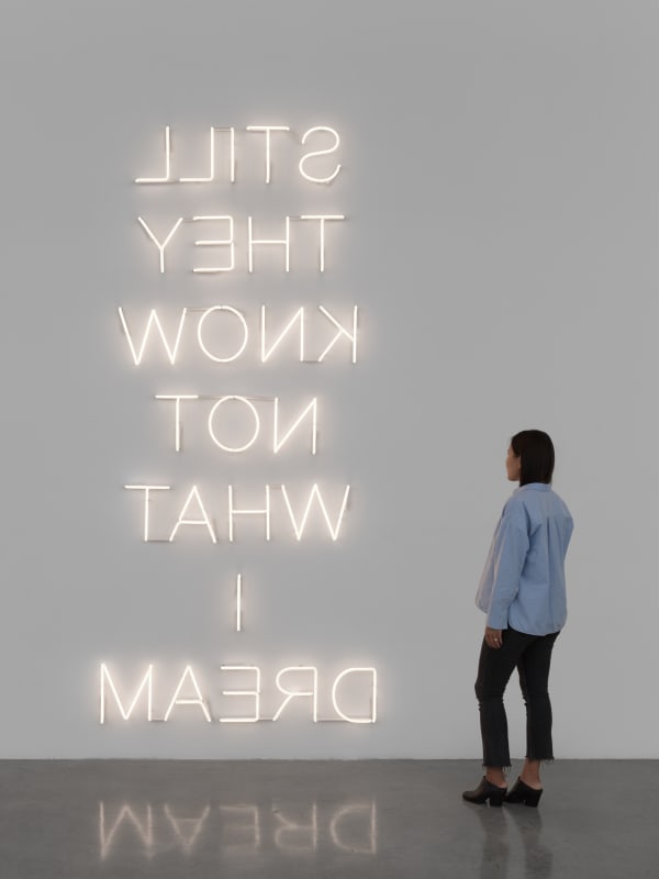 Shilpa Gupta Still they know not what I dream Neon 120 x 57 in | 305 x 145 cm 2022