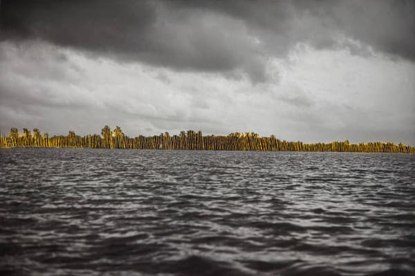 Ashfika Rahman Bon Bibi and Hundred Saga, Path-8 C-type print on archival paper and golden silk thread