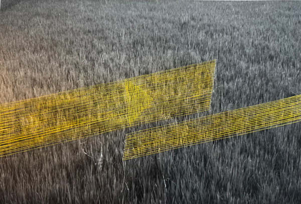 Ashfika Rahman Bon Bibi and Hundred Saga, Path-9 C-type print on archival paper and golden silk thread