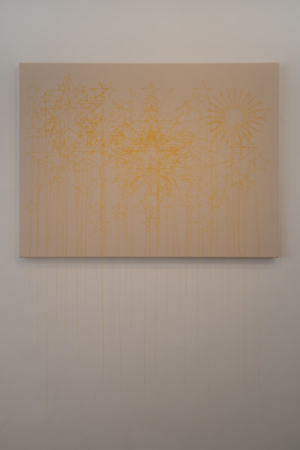 Shilpa Gupta Stars on Flags of the World, July 2011 Embroidery on cloth