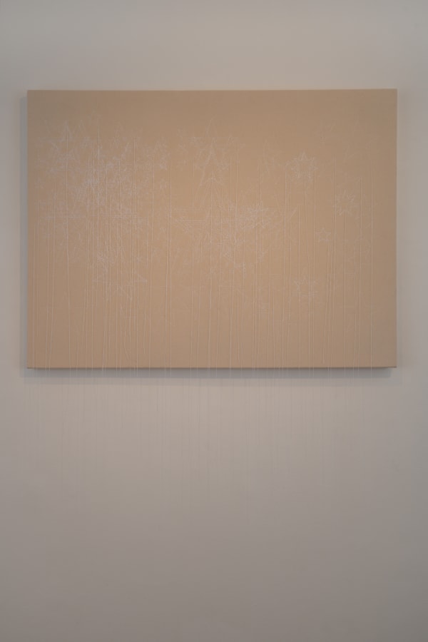 Shilpa Gupta Stars on Flags of the World, July 2011 Embroidery on cloth