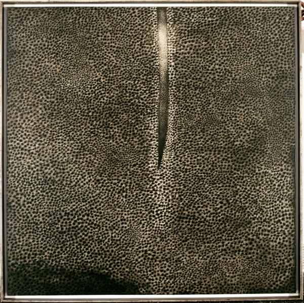 Rameshwar Broota Traces of Man II, 1998 60 x 60 in
