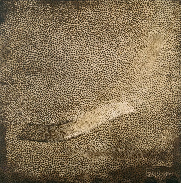 Rameshwar Broota Traces of Man, 1998 60 x 60 in
