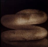 Rameshwar Broota Spiral I, 1990 47 x 47 in