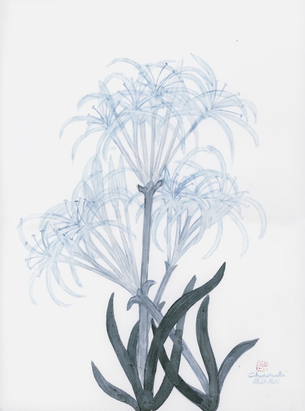 Chameli Ramachandran Untitled, 2020 Chinese ink & watercolour on paper 15 x 11 in