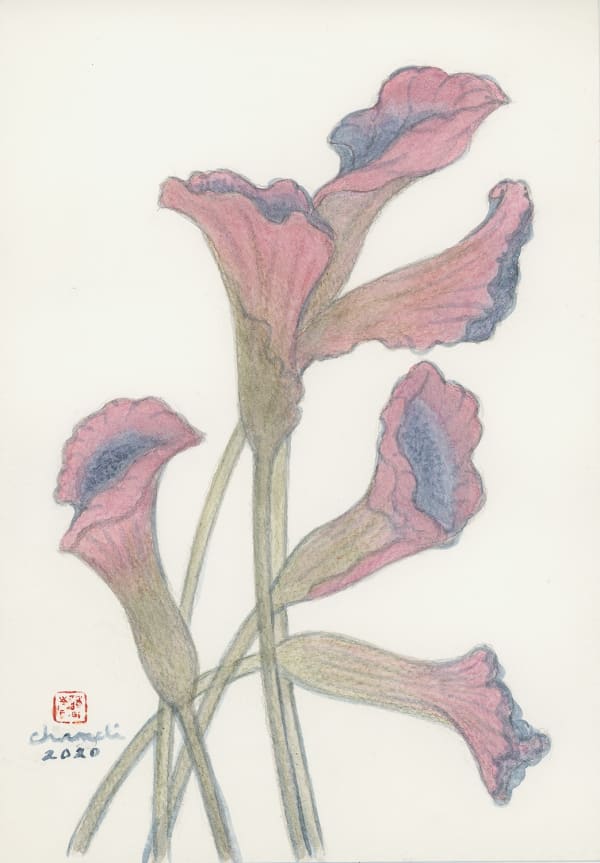 Chameli Ramachandran Untitled, 2020 Chinese ink & watercolour on paper 10 x 7 in