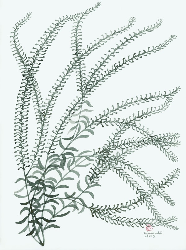 Chameli Ramachandran Untitled, 2015 Chinese ink and watercolour on paper 13" x 9"