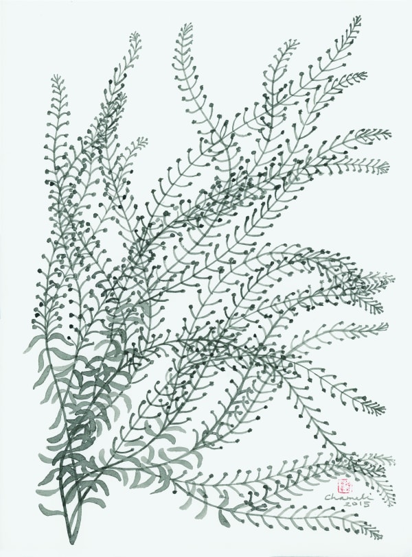 Chameli Ramachandran Untitled, 2015 Chinese ink and watercolour on paper 14.5" x 10.5"