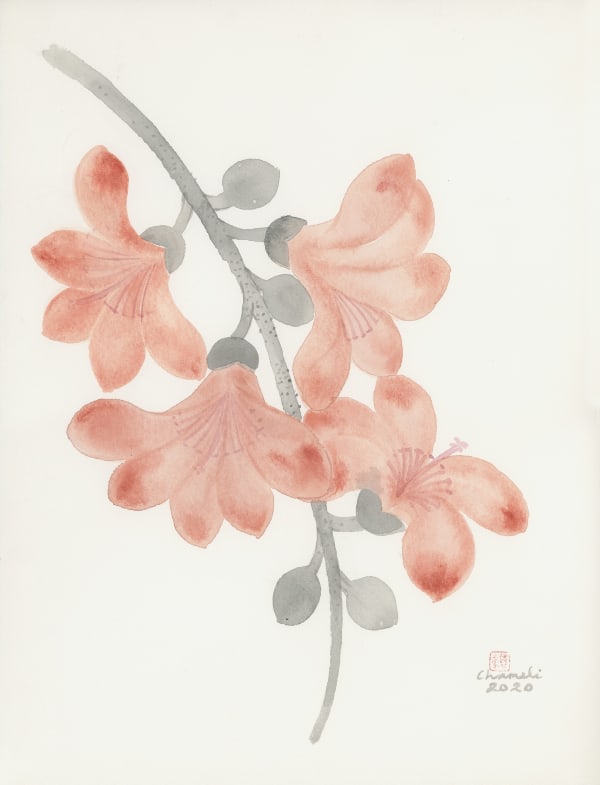 Chameli Ramachandran Untitled, 2020 Chinese ink & watercolour on paper 15 x 11 in