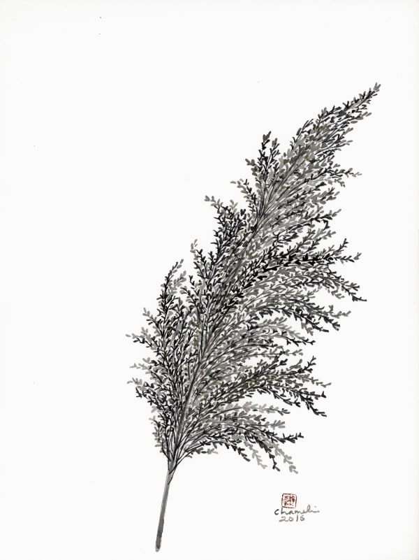 Chameli Ramachandran Untitled, 2016 Chinese ink and watercolour on paper 15" x 11"