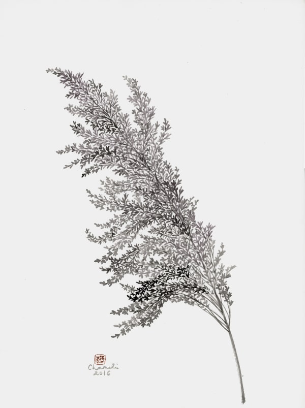 Chameli Ramachandran Untitled, 2016 Chinese ink and watercolour on paper 15" x 11"