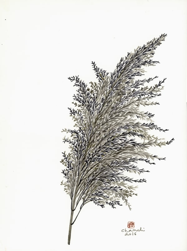 Chameli Ramachandran Untitled, 2016 Chinese ink and watercolour on paper 15" x 11"