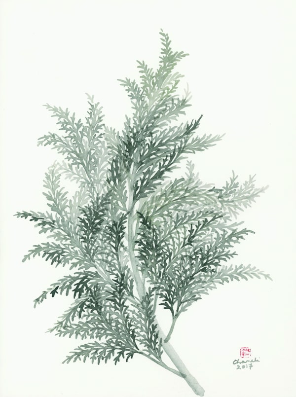 Chameli Ramachandran Untitled, 2017 Chinese ink and watercolour on paper 15" x 11"